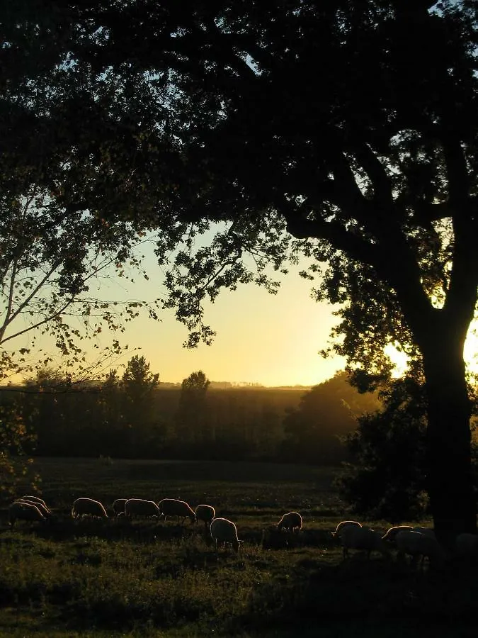 Hotel La Ferme Montplaisir à Montesquieu-Volvestre